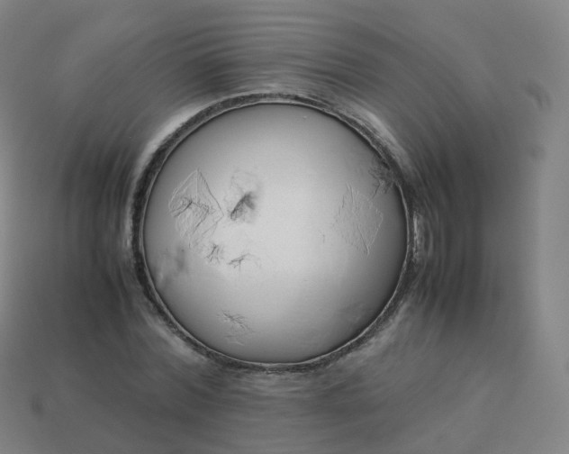 X0000113890780200910081807