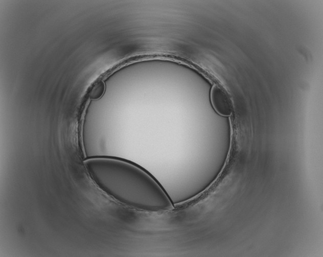 X0000113890781200910081807