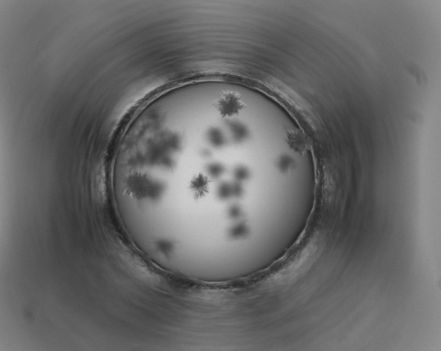 X0000113890782200910081807