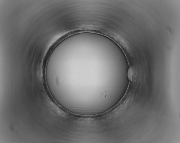 X0000113890784200910081807