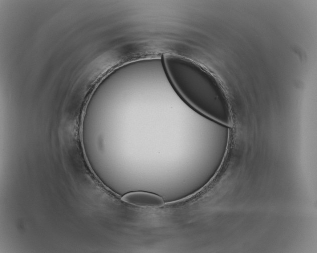 X0000113890785200910081807