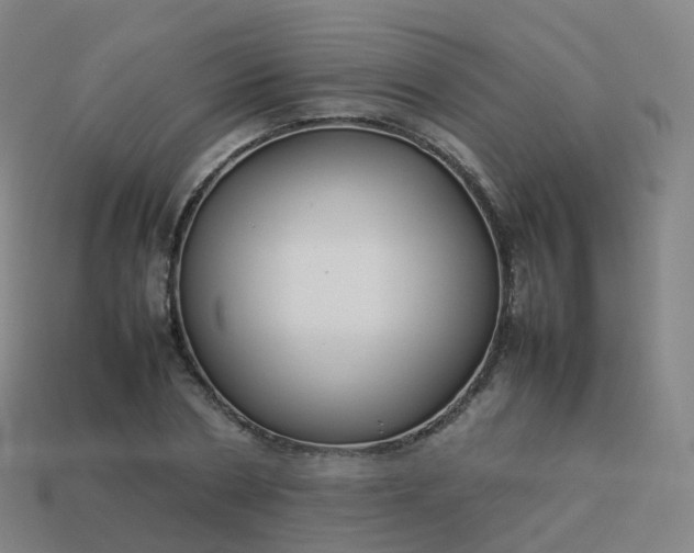 X0000113890786200910081807