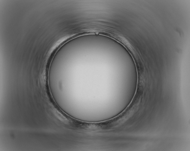 X0000113890787200910081807