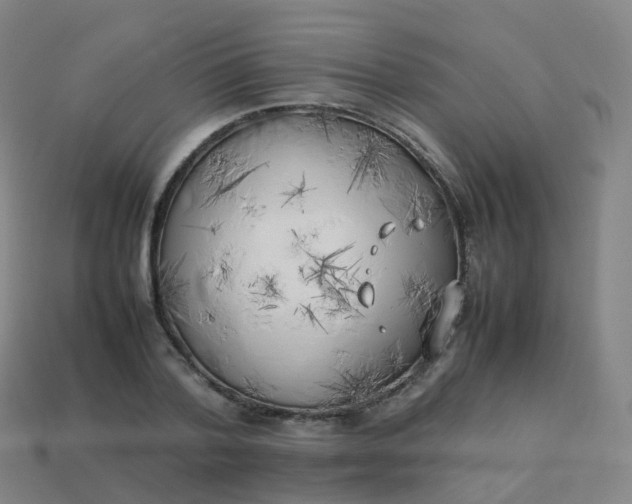 X0000113890788200910081807