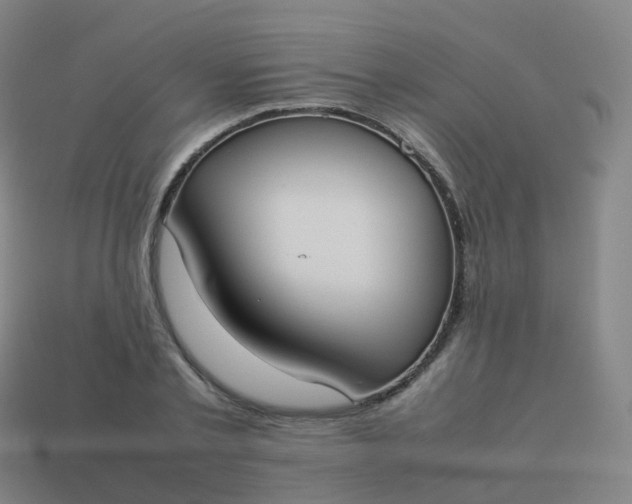 X0000113890789200910081807