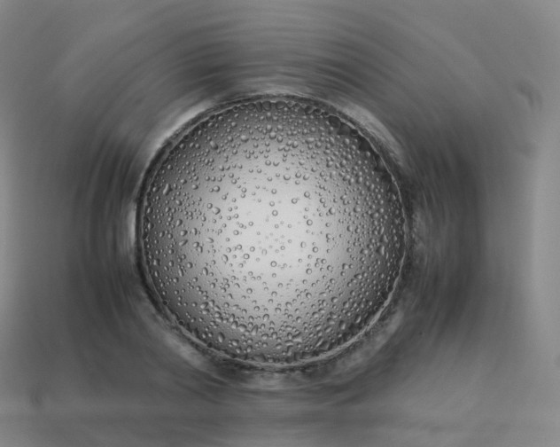 X0000113890790200910081807