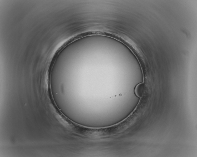 X0000113890791200910081807