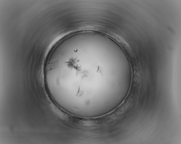 X0000113890792200910081807