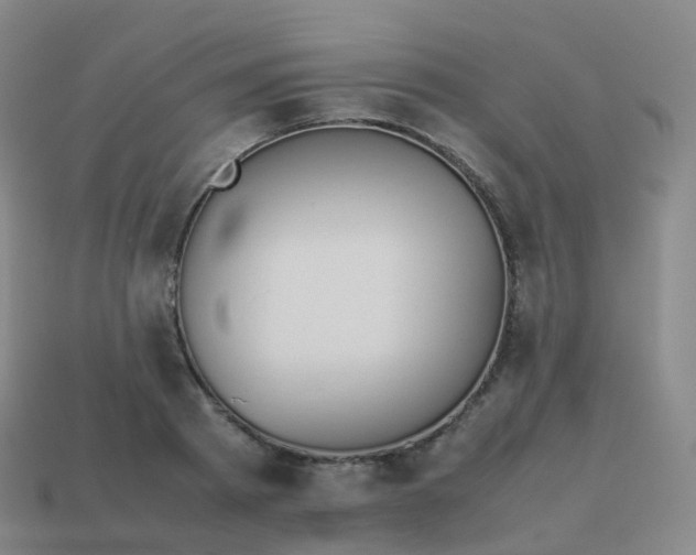 X0000113890793200910081807