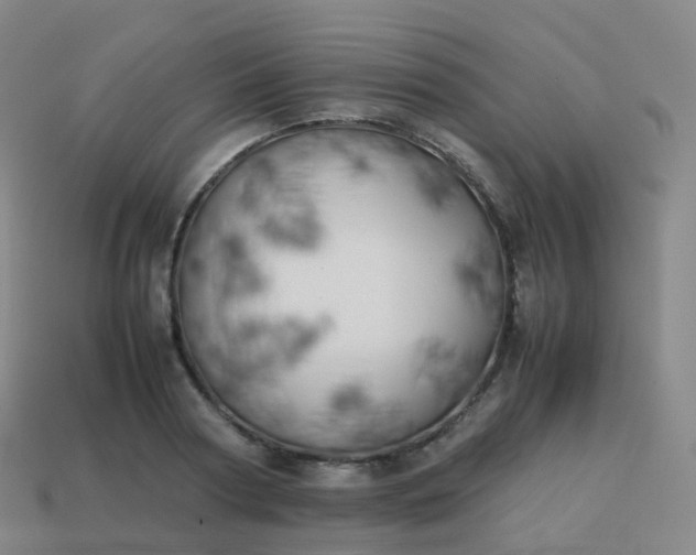 X0000113890794200910081807