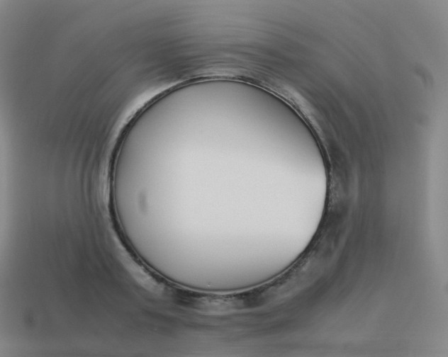 X0000113890795200910081807