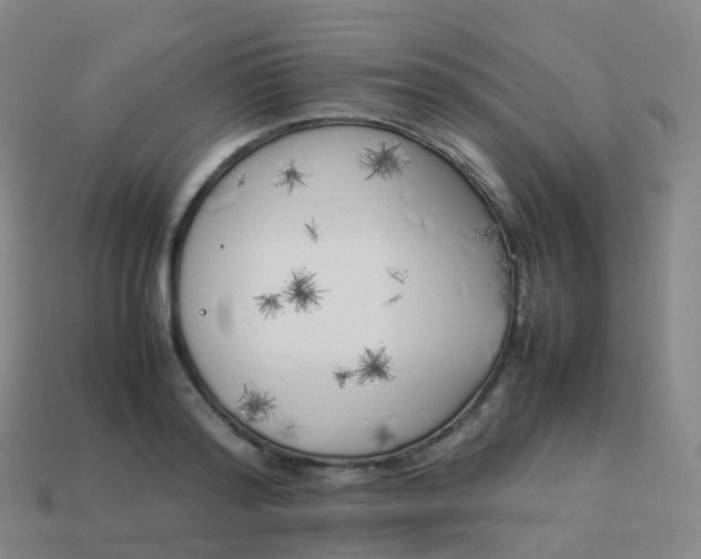 X0000113890796200910081807