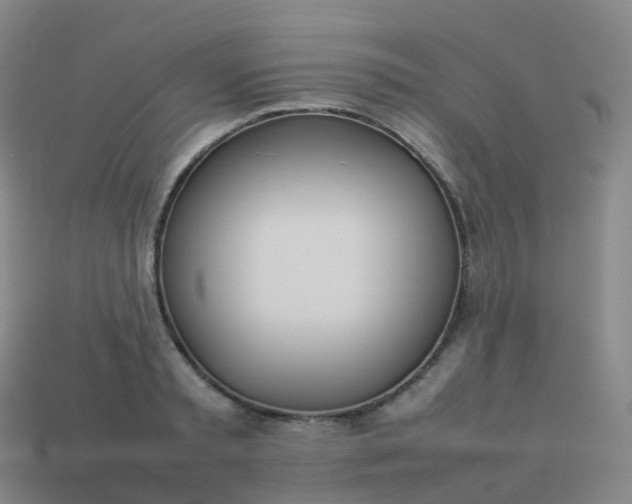 X0000113890797200910081807