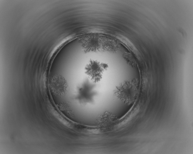 X0000113890798200910081807