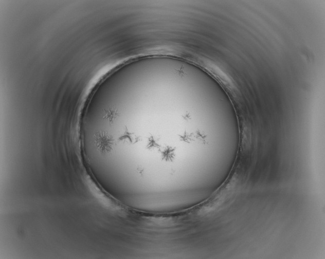 X0000113890800200910081807