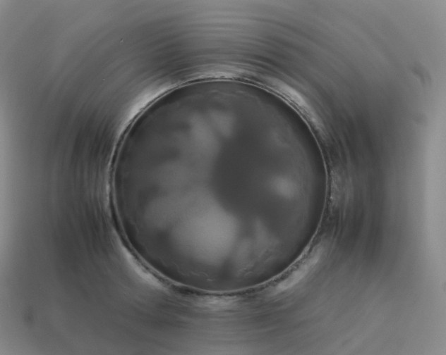 X0000113890802200910081807