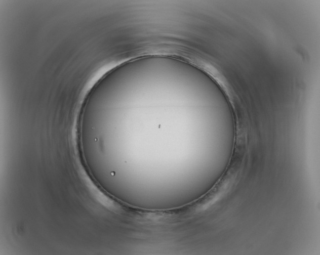 X0000113890803200910081807