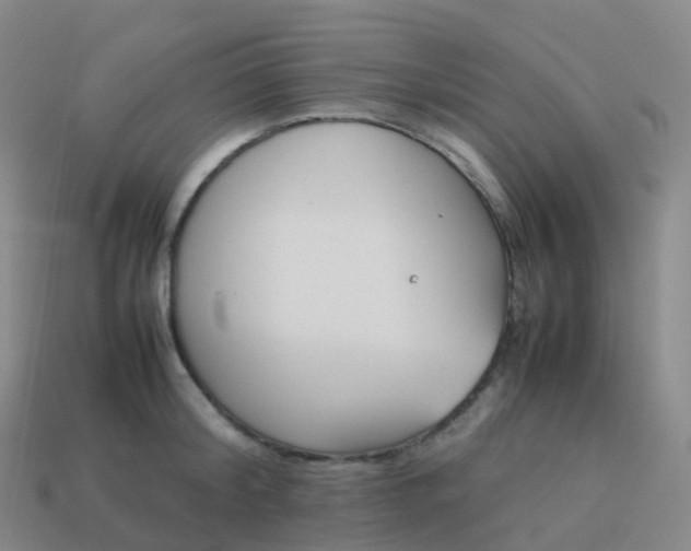 X0000113890804200910081807