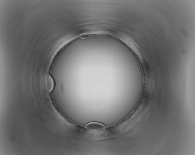 X0000113890805200910081807