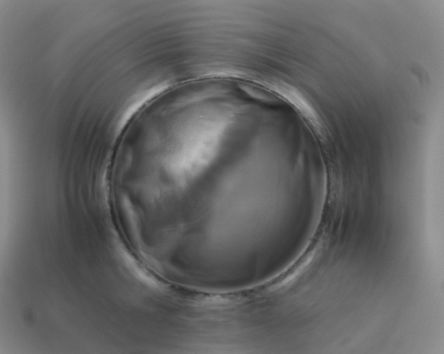 X0000113890806200910081807