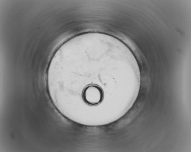 X0000113890807200910081807