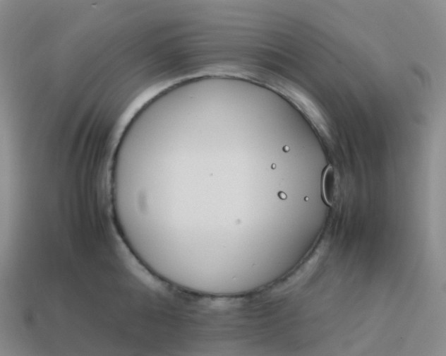 X0000113890808200910081807