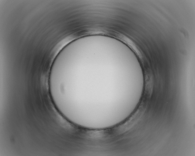 X0000113890810200910081807