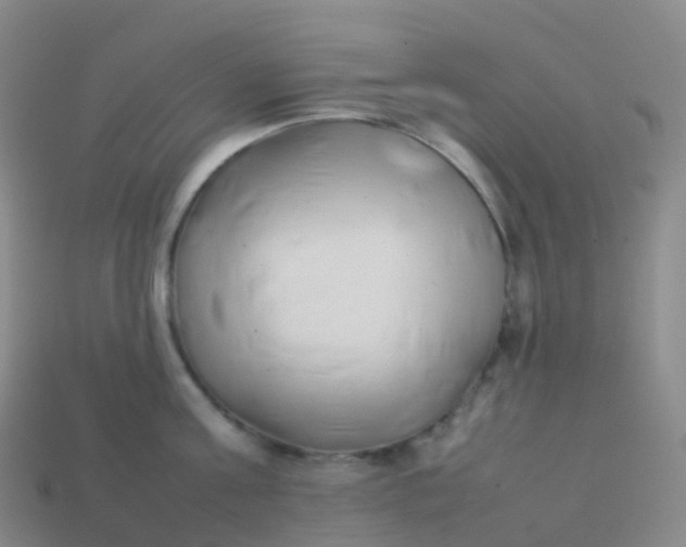 X0000113890811200910081807