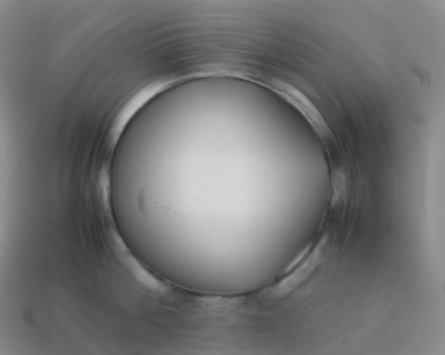 X0000113890812200910081807