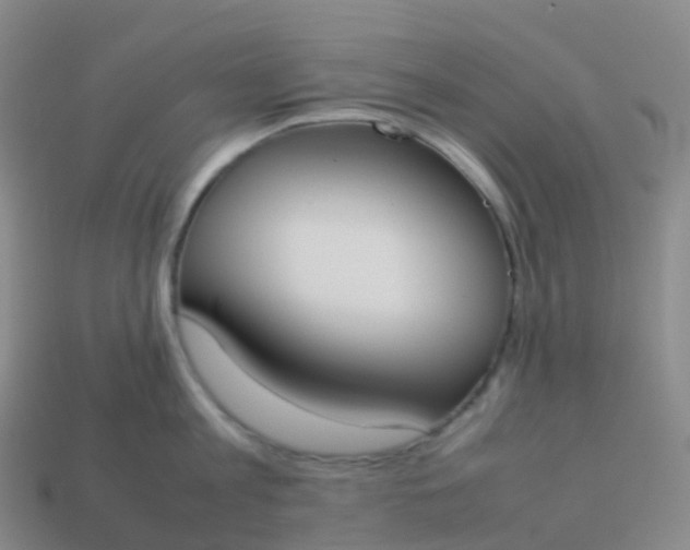 X0000113890813200910081807