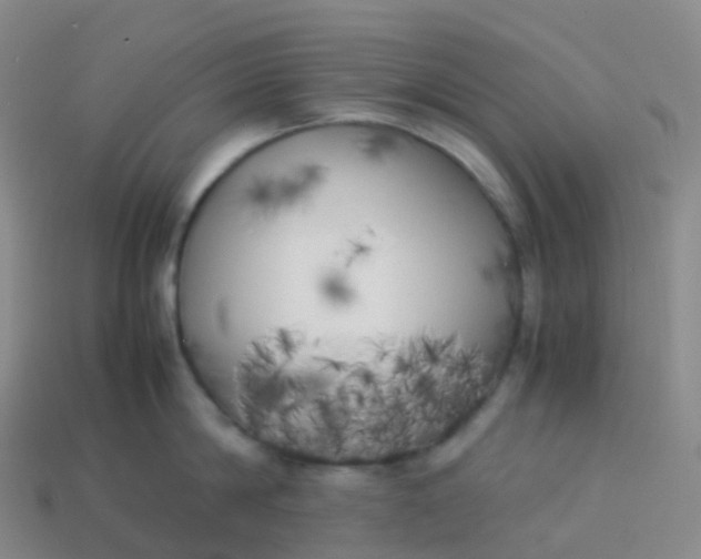 X0000113890814200910081807