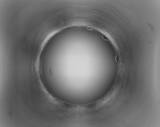 X0000113890815200910081807