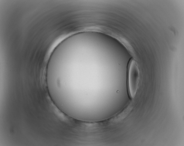 X0000113890816200910081807