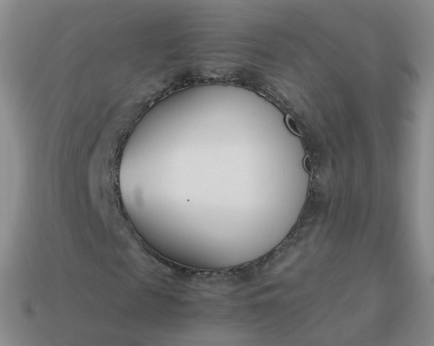 X0000113890817200910081806