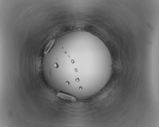 X0000113890818200910081806