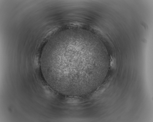 X0000113890819200910081806