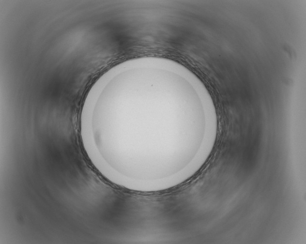 X0000113890820200910081806