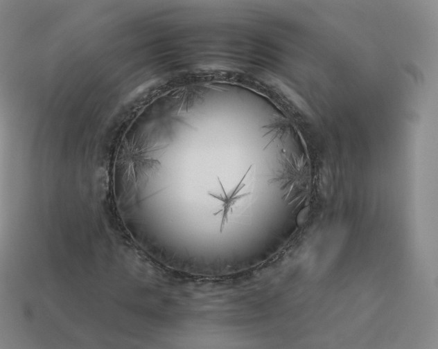 X0000113890821200910081806