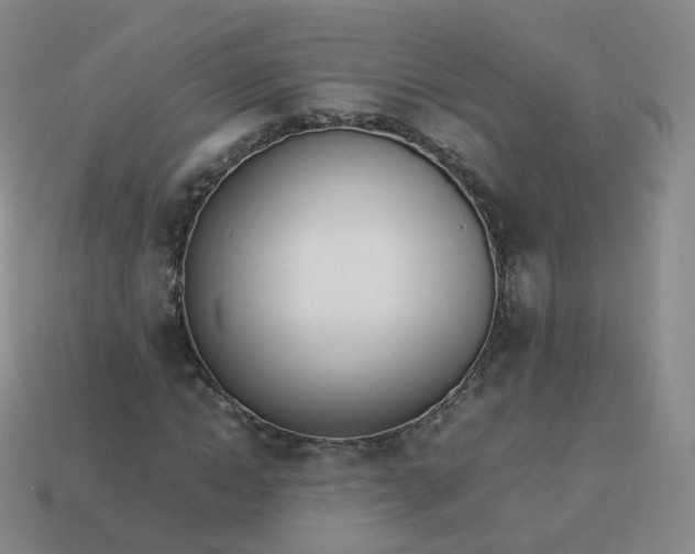 X0000113890822200910081806