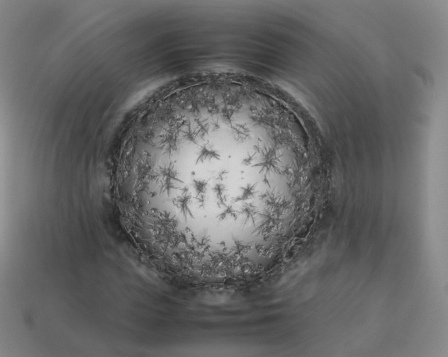 X0000113890823200910081806