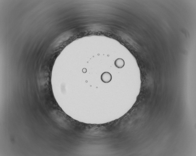 X0000113890824200910081806