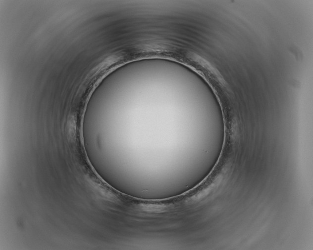 X0000113890825200910081806