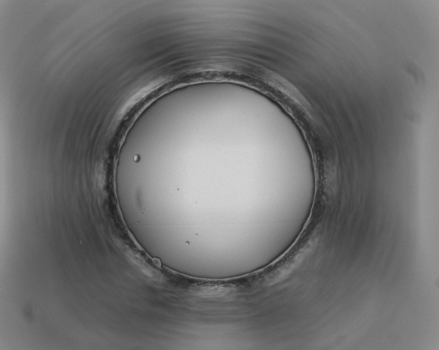 X0000113890826200910081806