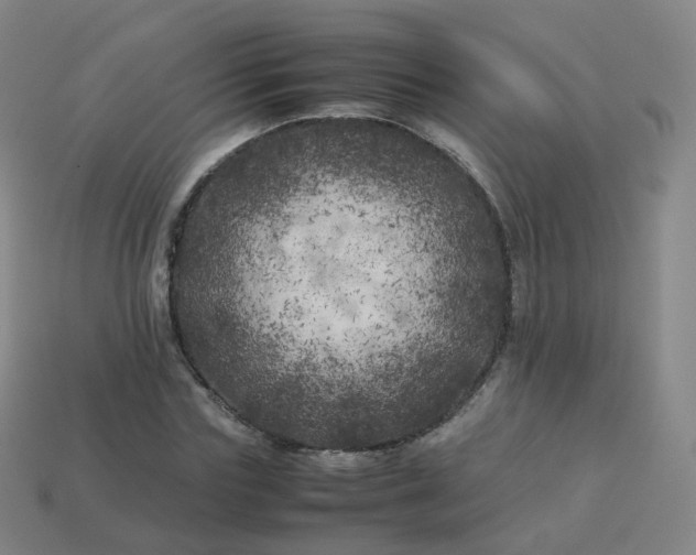 X0000113890827200910081806