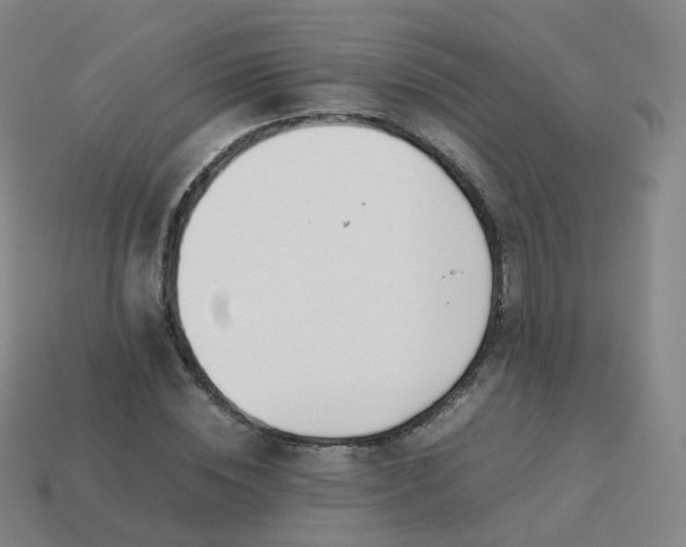 X0000113890828200910081806