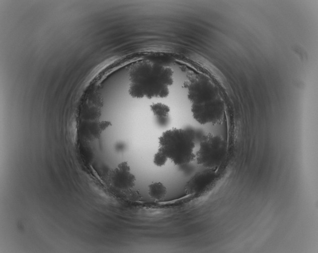 X0000113890829200910081806