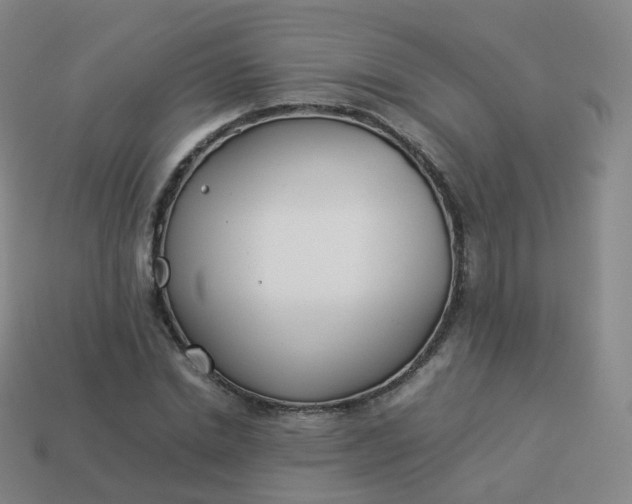 X0000113890830200910081806