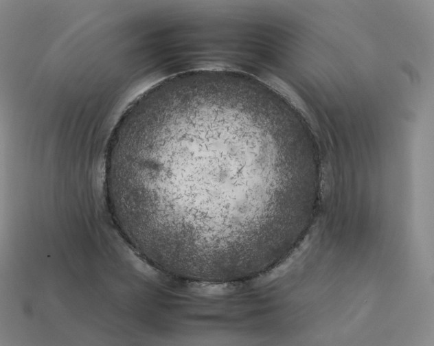 X0000113890831200910081806