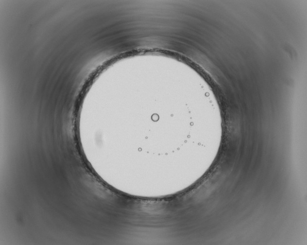 X0000113890832200910081806