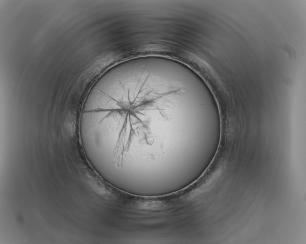 X0000113890833200910081806